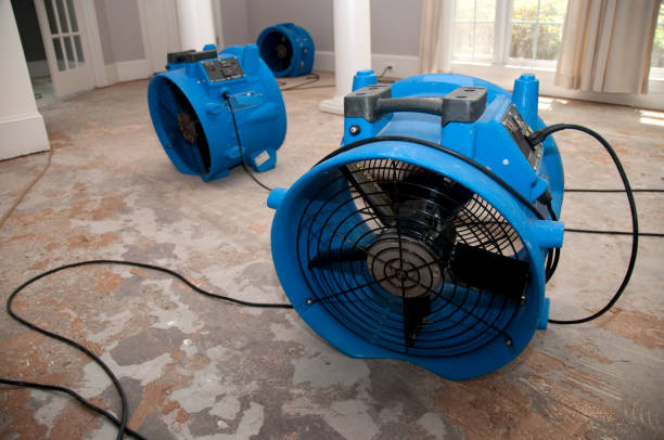 Best Basement water damage restoration  in Dublin, TX