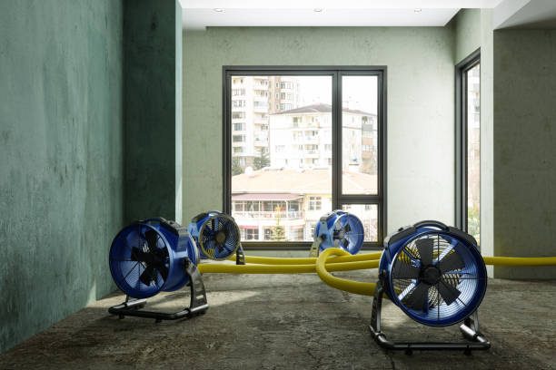 Best Mold removal after water damage  in Dublin, TX
